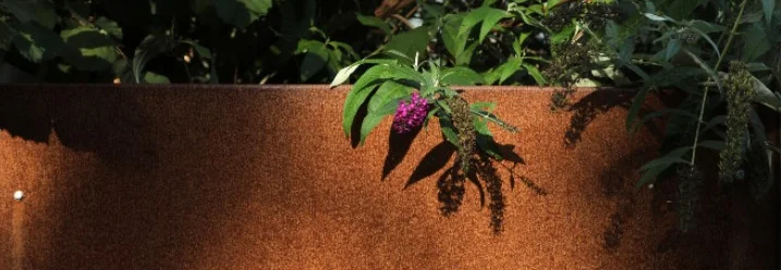 Rostige Wand mit Pflanzen